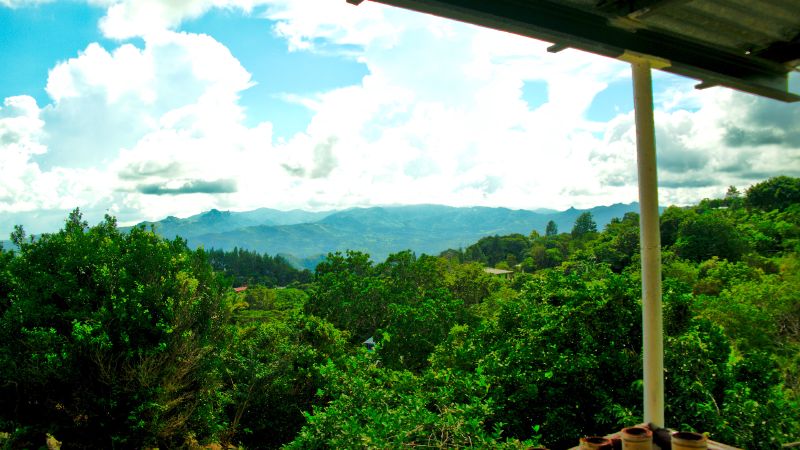 The apartment’s view