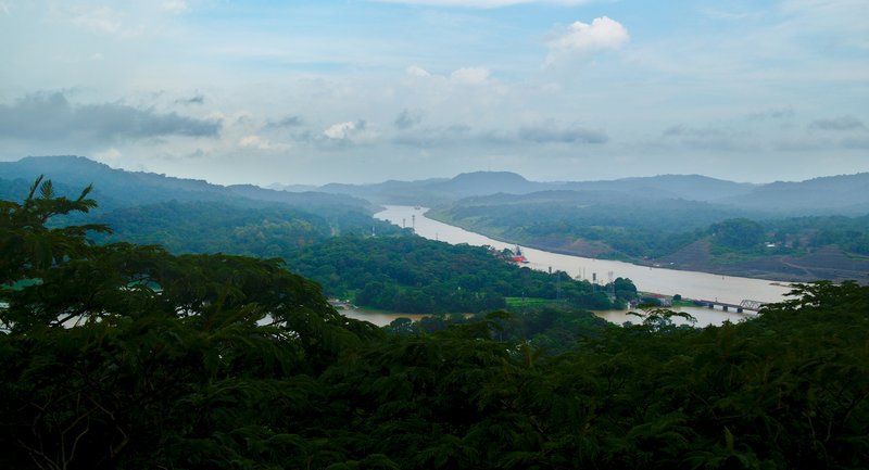 Even more views of the rain forest