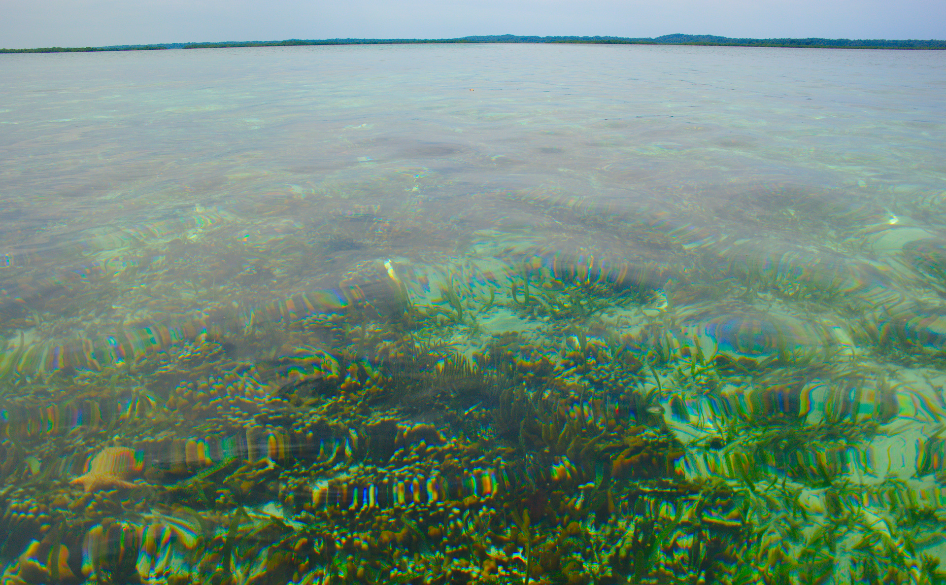 Transparent waters