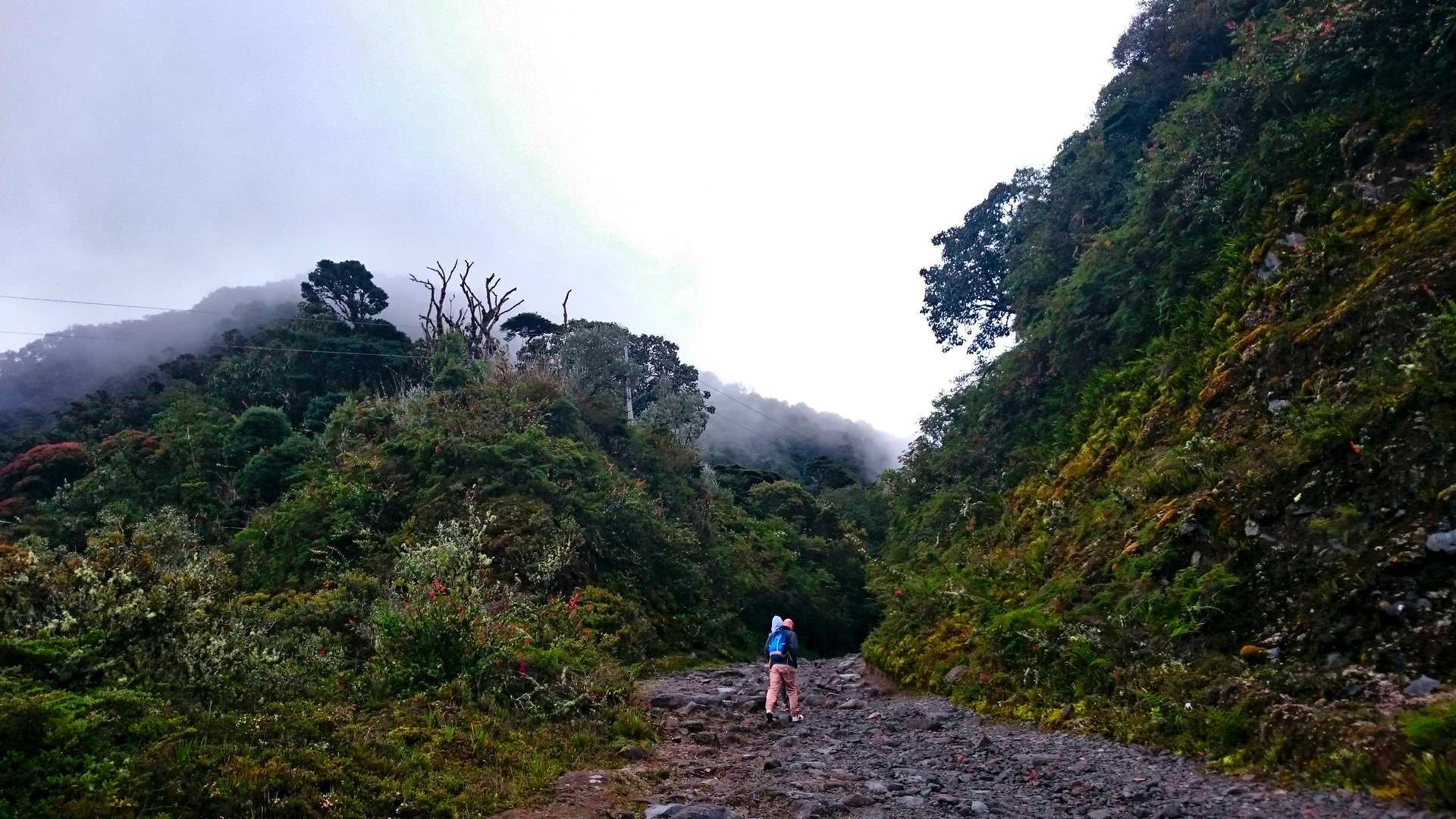 Rocky roads and fog near the volcano summit