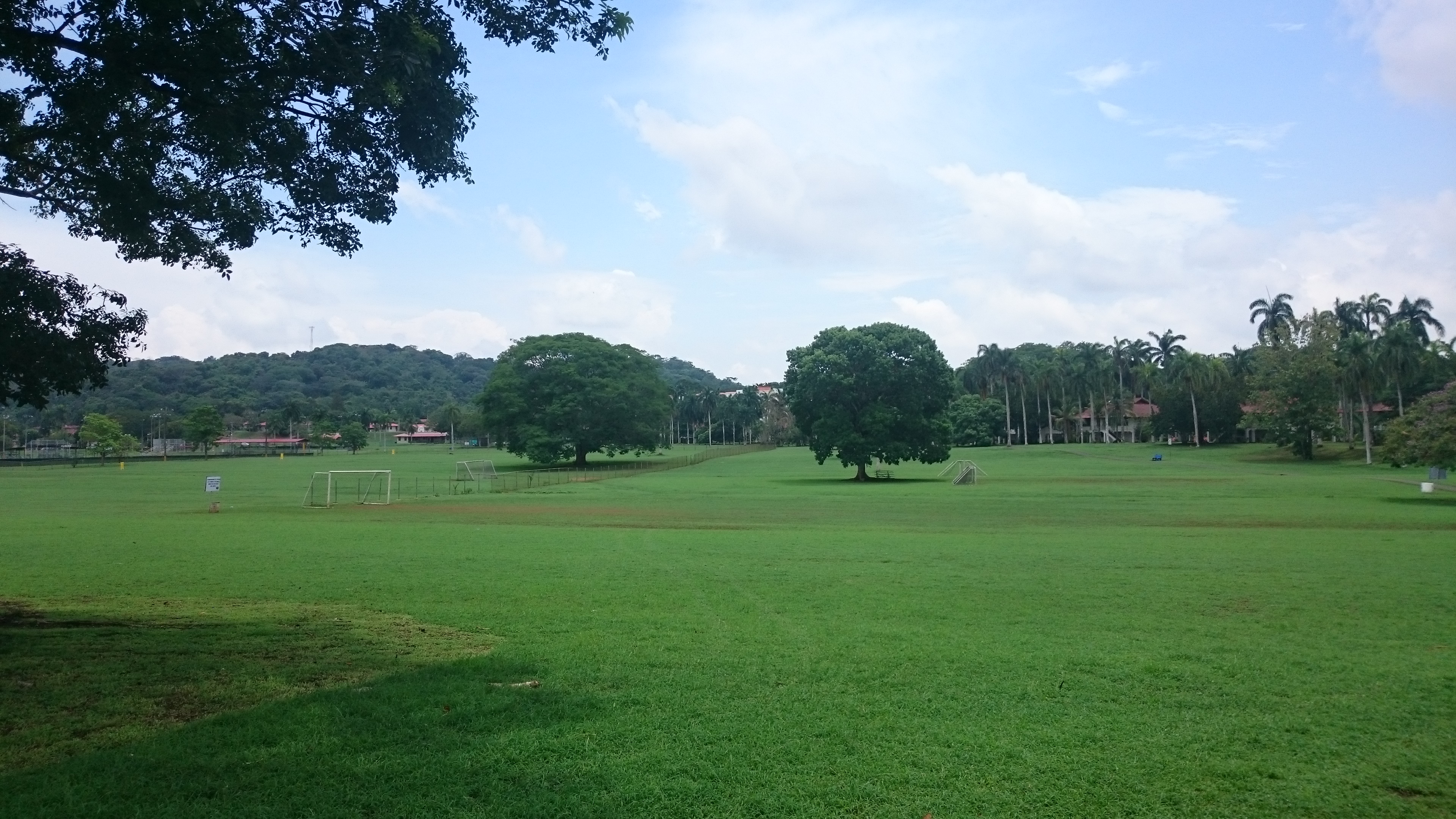 The park located near the center