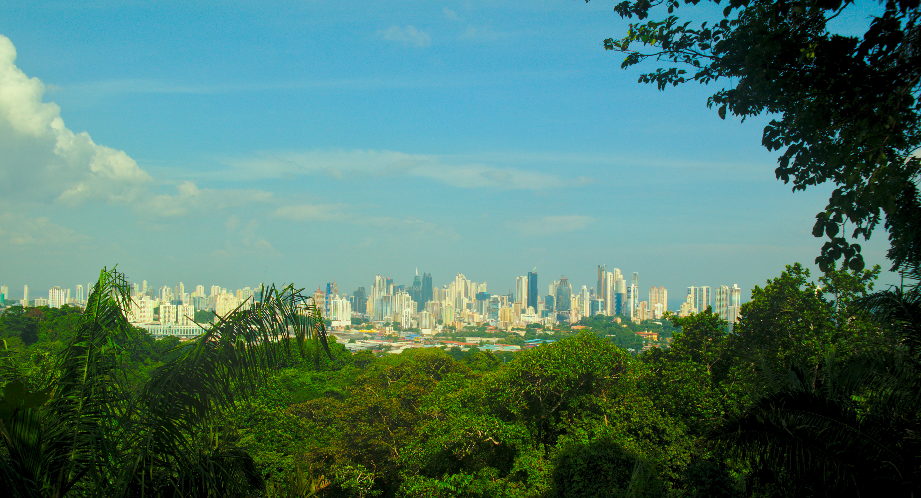 Panama City Skyline