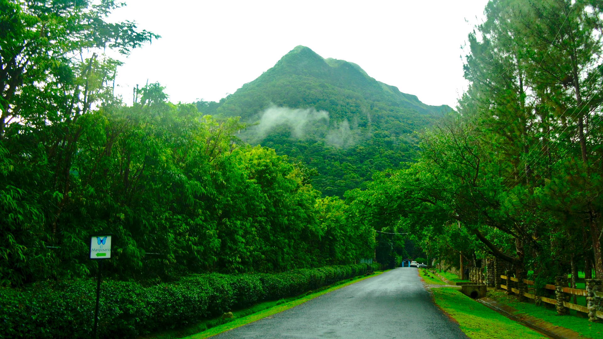 Valle de Antón Mountainside